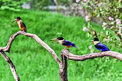 《地平线：西部禁域》PS4＆5实体版公布 明日开启预购