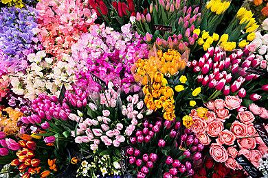 《艾尔登法环：黑夜君临》新细节 融合了大逃杀和肉鸽玩法