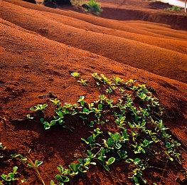 整合全球研发能力美国任天堂重组游戏测试业务